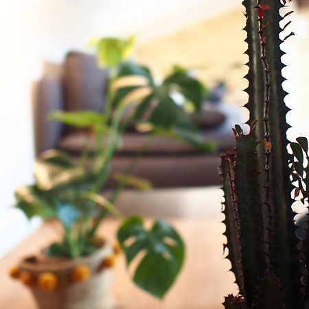 Maison Bouquiere Le Pigeonnier 波尔多 外观 照片